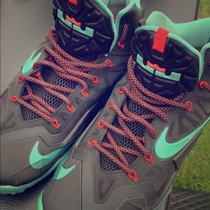 Lebron James basketball shoes